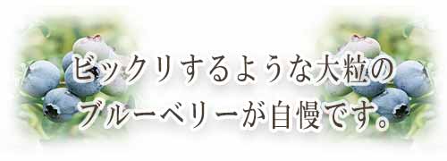 ブルーベリープラザ浦和スマホ用