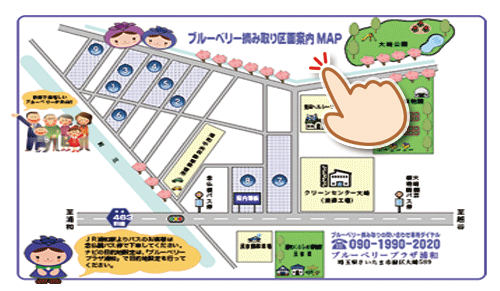 ブルーベリー摘み取り区画案内MAP