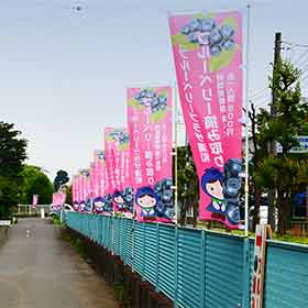 ブルーベリープラザ浦和園内風景