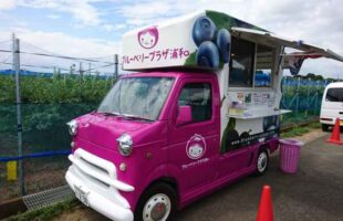 ブルーベリープラザ浦和移動販売車